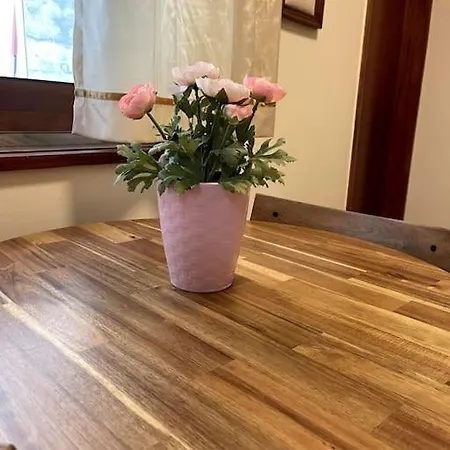 Casa Amigas * Pinhão