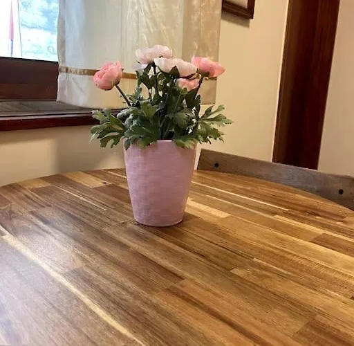 Casa Amigas * Pinhão